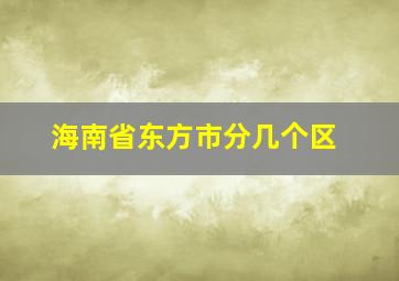 海南省东方市分几个区