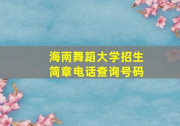 海南舞蹈大学招生简章电话查询号码