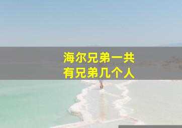 海尔兄弟一共有兄弟几个人