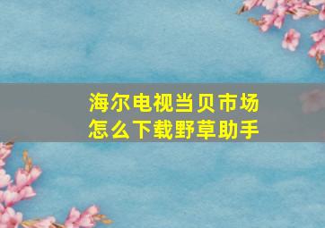 海尔电视当贝市场怎么下载野草助手