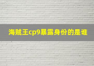 海贼王cp9暴露身份的是谁