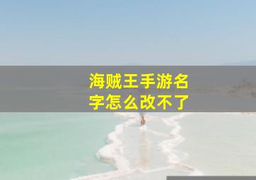 海贼王手游名字怎么改不了