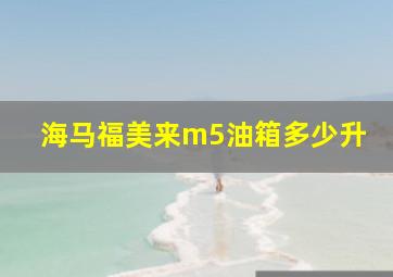 海马福美来m5油箱多少升