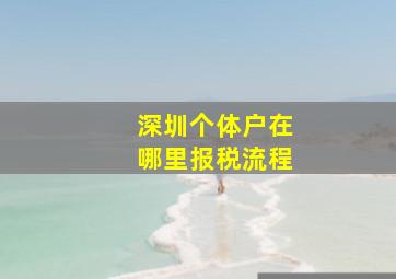 深圳个体户在哪里报税流程