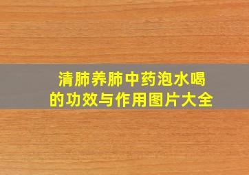 清肺养肺中药泡水喝的功效与作用图片大全