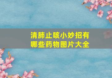 清肺止咳小妙招有哪些药物图片大全