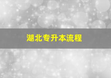 湖北专升本流程