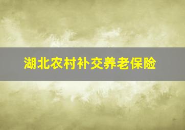 湖北农村补交养老保险