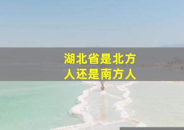 湖北省是北方人还是南方人