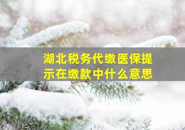 湖北税务代缴医保提示在缴款中什么意思