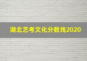 湖北艺考文化分数线2020