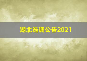 湖北选调公告2021