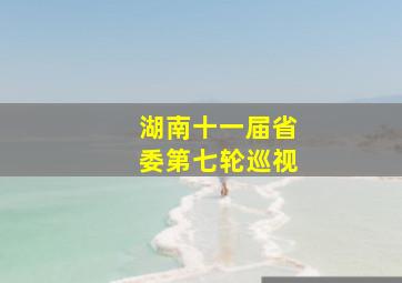 湖南十一届省委第七轮巡视