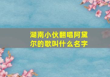 湖南小伙翻唱阿黛尔的歌叫什么名字