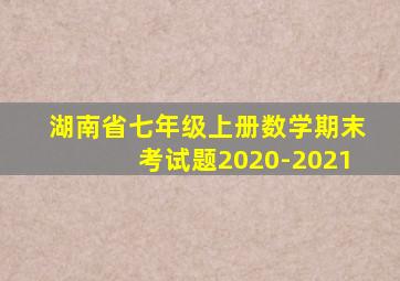 湖南省七年级上册数学期末考试题2020-2021