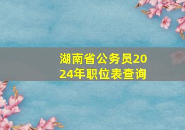 湖南省公务员2024年职位表查询