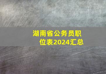 湖南省公务员职位表2024汇总