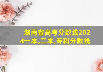 湖南省高考分数线2024一本,二本,专科分数线