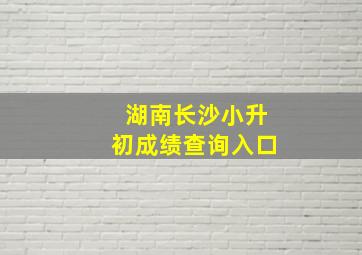 湖南长沙小升初成绩查询入口