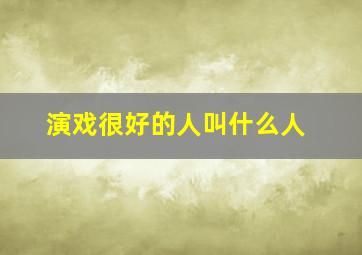 演戏很好的人叫什么人