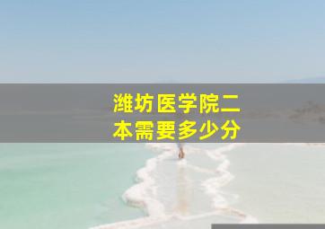 潍坊医学院二本需要多少分