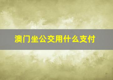 澳门坐公交用什么支付