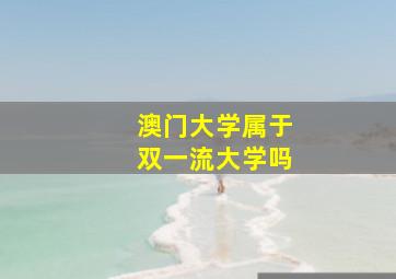 澳门大学属于双一流大学吗