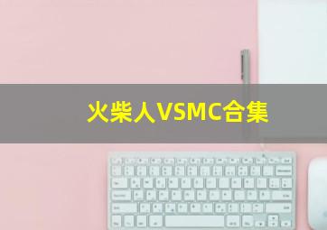 火柴人VSMC合集