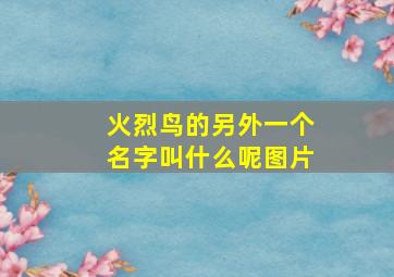 火烈鸟的另外一个名字叫什么呢图片