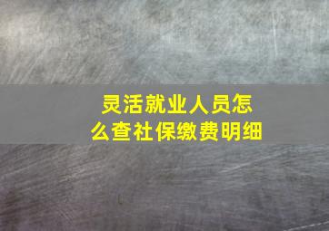 灵活就业人员怎么查社保缴费明细