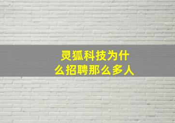 灵狐科技为什么招聘那么多人