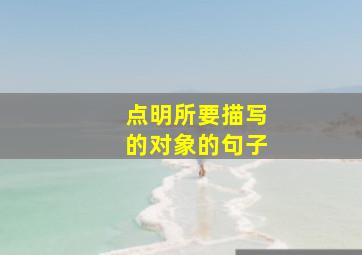 点明所要描写的对象的句子