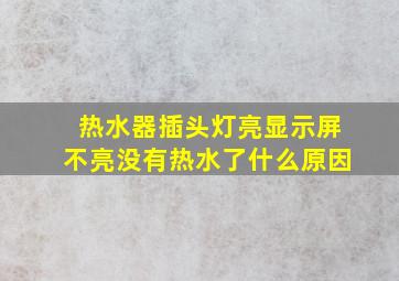 热水器插头灯亮显示屏不亮没有热水了什么原因