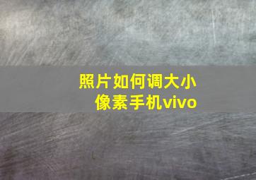 照片如何调大小像素手机vivo