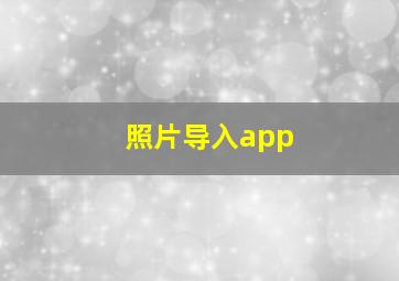 照片导入app