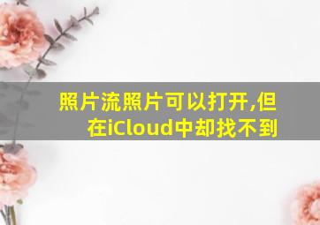 照片流照片可以打开,但在iCloud中却找不到