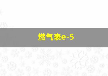 燃气表e-5