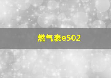 燃气表e502