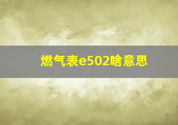 燃气表e502啥意思