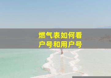 燃气表如何看户号和用户号