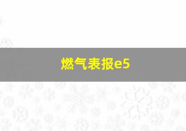 燃气表报e5