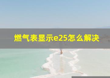 燃气表显示e25怎么解决