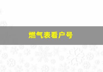 燃气表看户号