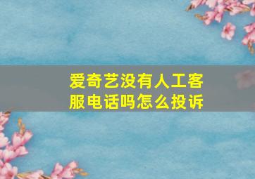 爱奇艺没有人工客服电话吗怎么投诉