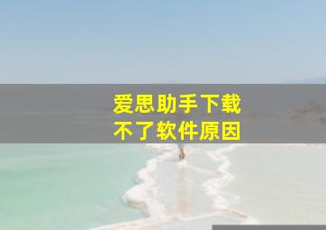 爱思助手下载不了软件原因