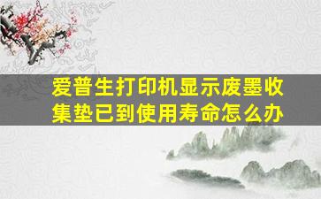 爱普生打印机显示废墨收集垫已到使用寿命怎么办