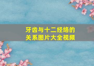 牙齿与十二经络的关系图片大全视频