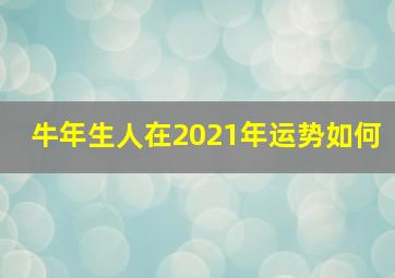 牛年生人在2021年运势如何