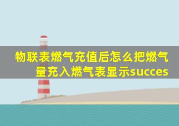 物联表燃气充值后怎么把燃气量充入燃气表显示succes