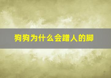 狗狗为什么会蹭人的脚